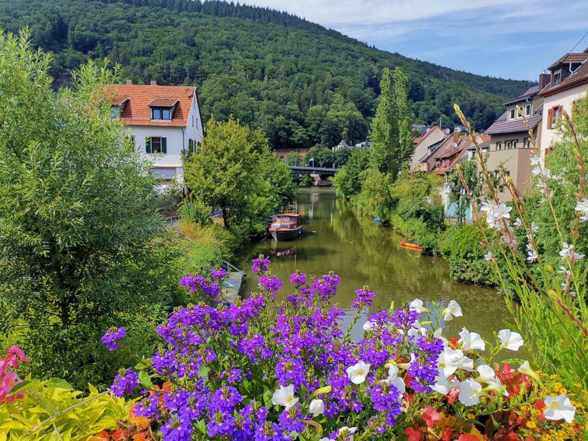 Ferienwohnungen Flussufer - Neckargemuend Altstadt Eksteriør bilde