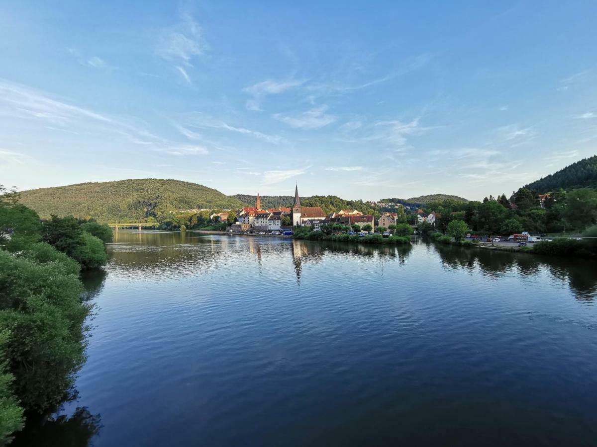 Ferienwohnungen Flussufer - Neckargemuend Altstadt Eksteriør bilde